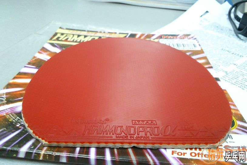 ������ ������   ���տ�39���׽�