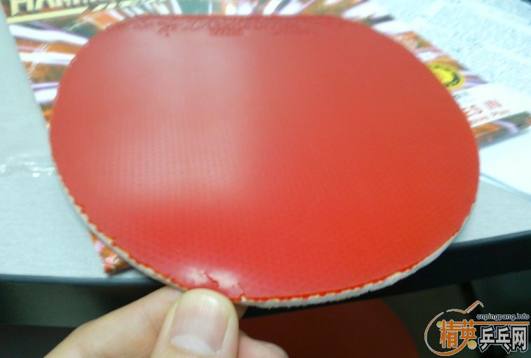 ������ ������   ���տ�39���׽�