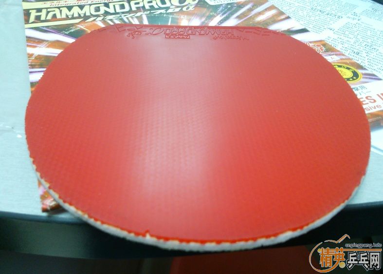 ������ ������   ���տ�39���׽�