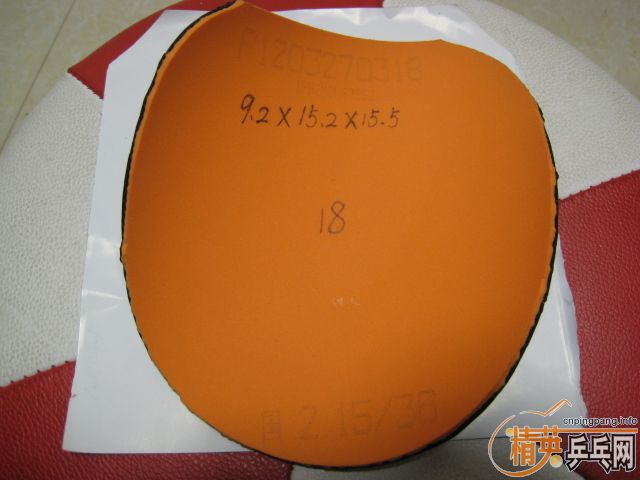 �����Ź��ҶӶ�Ա�������Ĺ��������ʡ��