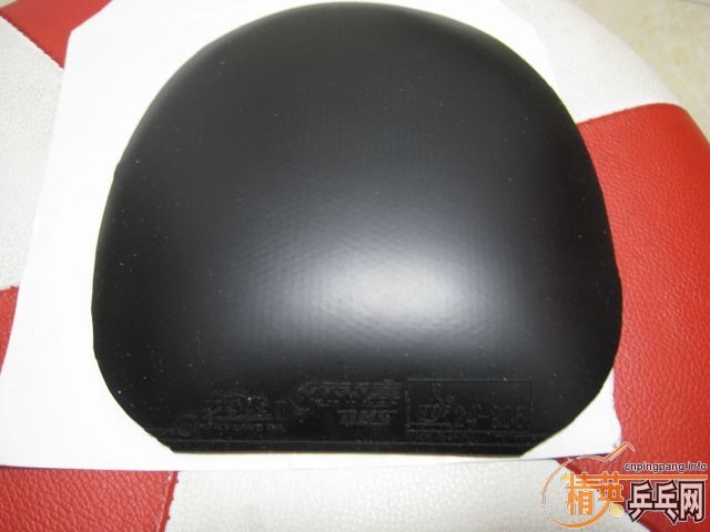 �����Ź��ҶӶ�Ա�������Ĺ��������ʡ��