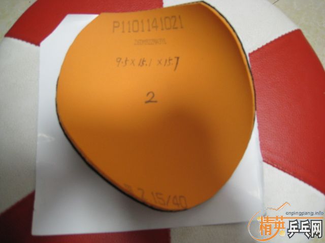 �����Ź��ҶӶ�Ա�������Ĺ��������ʡ��