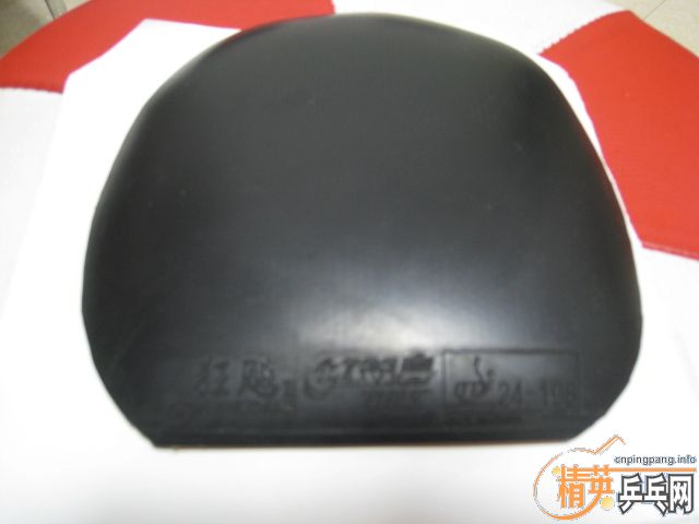 �����Ź��ҶӶ�Ա�������Ĺ��������ʡ��