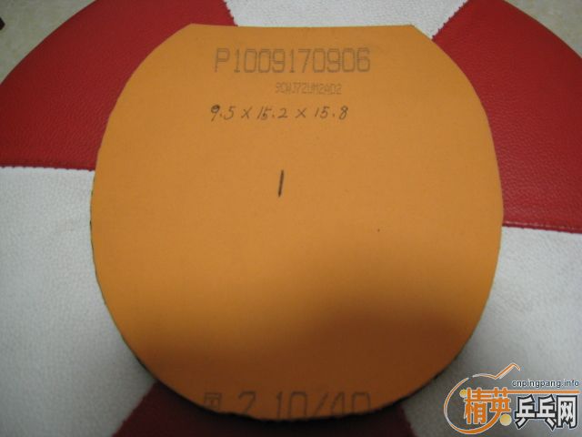 �����Ź��ҶӶ�Ա�������Ĺ��������ʡ��