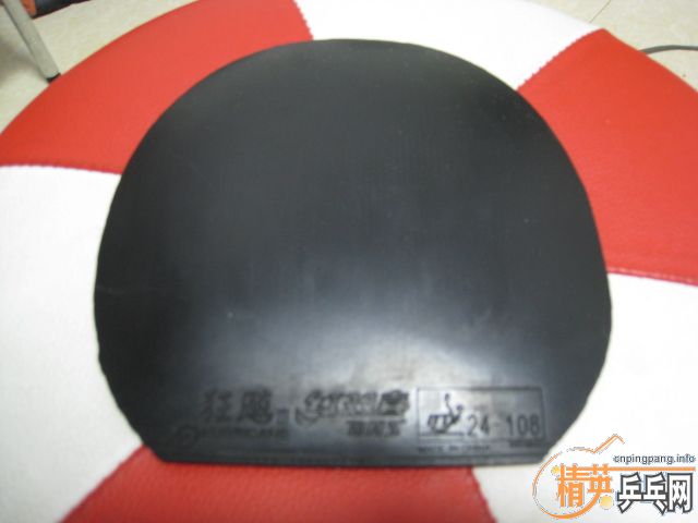 �����Ź��ҶӶ�Ա�������Ĺ��������ʡ��