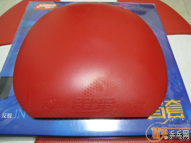 �����Ź��ҶӶ�Ա�������Ĺ��������ʡ��