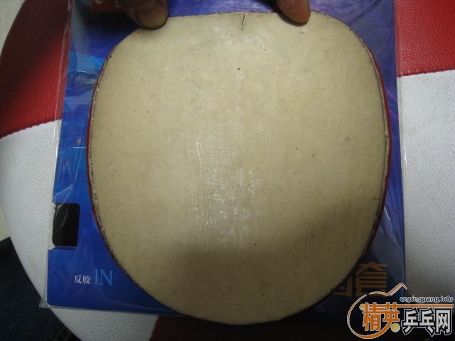 �����Ź��ҶӶ�Ա�������Ĺ��������ʡ��