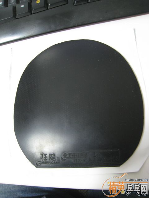 �����Ź��ҶӶ�Ա�������Ĺ��������ʡ��