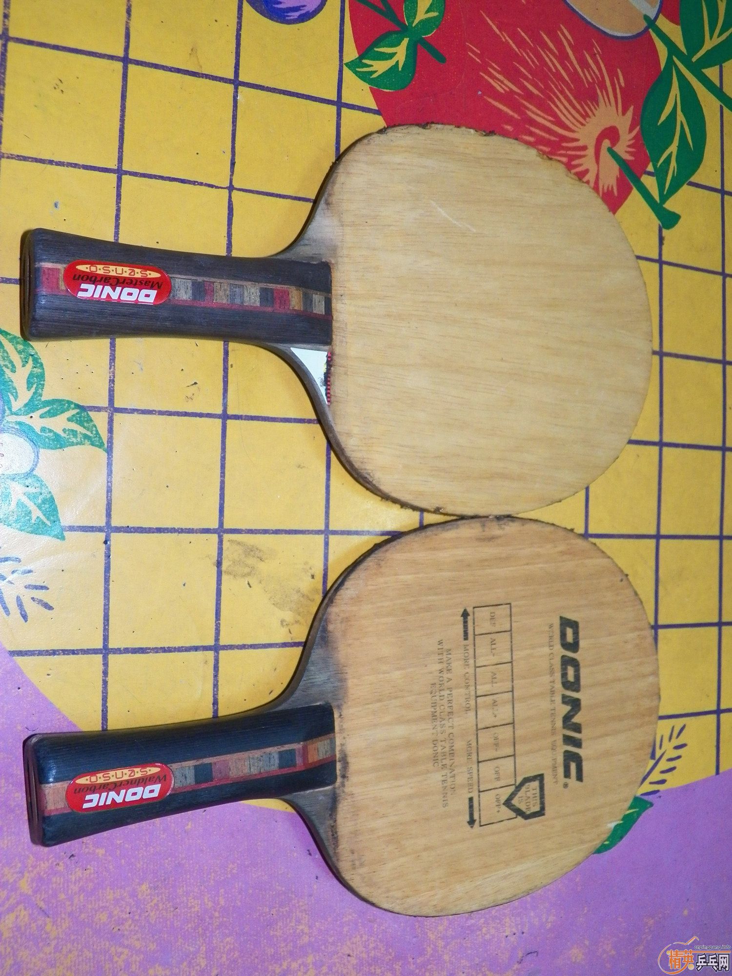 ��̼������225Ԫ��Բͨ