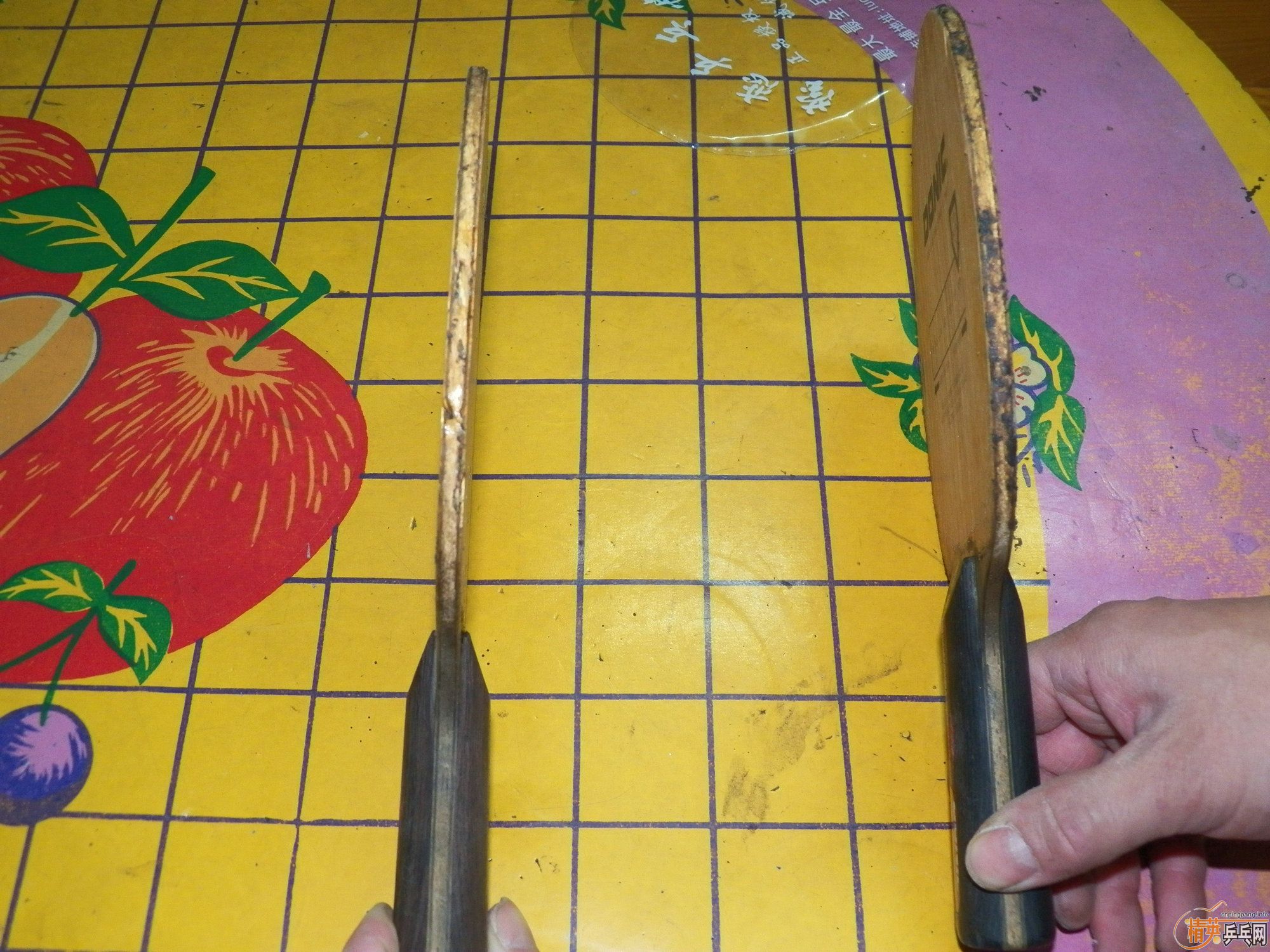 ��̼������225Ԫ��Բͨ