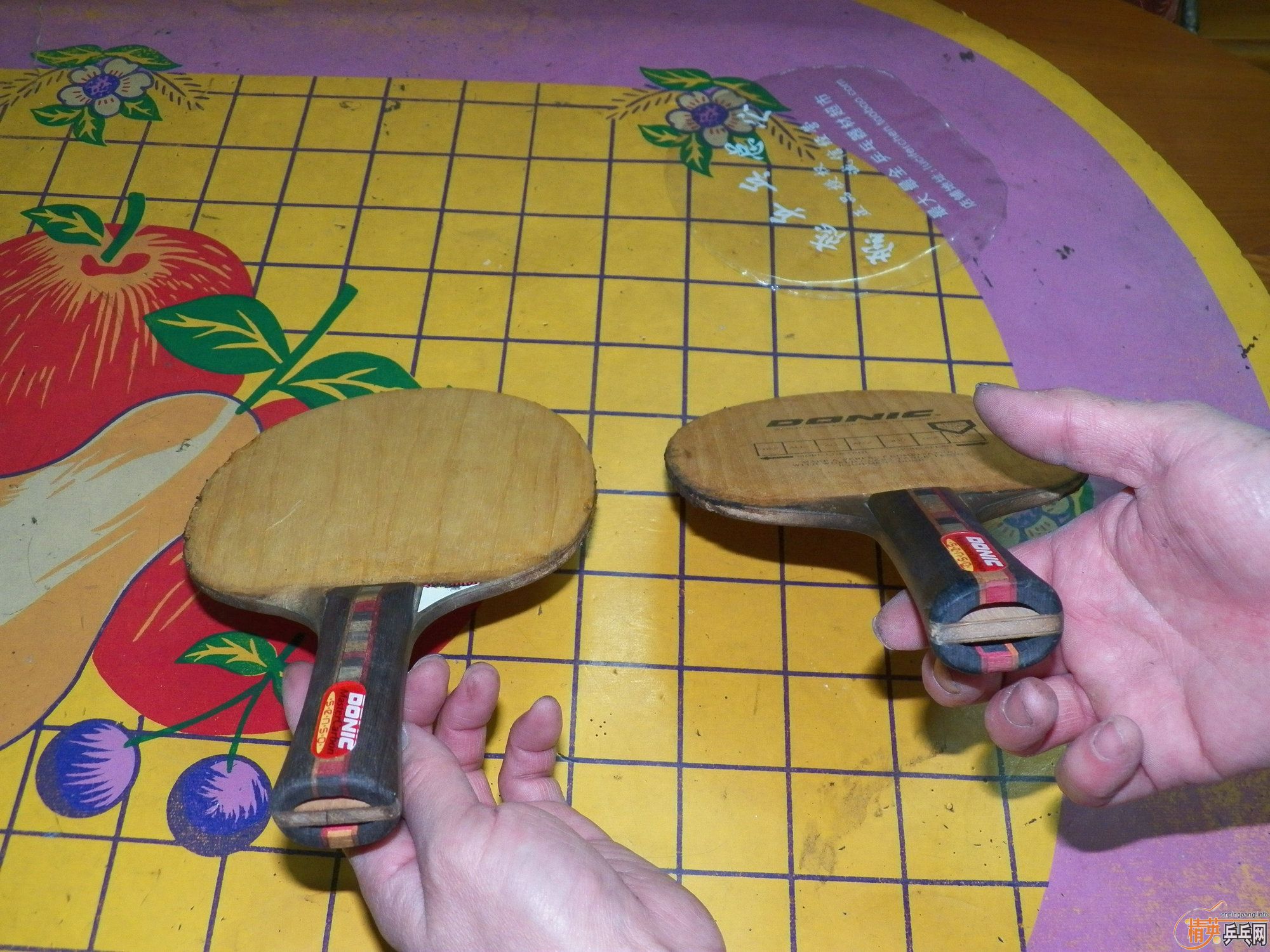 ��̼������225Ԫ��Բͨ