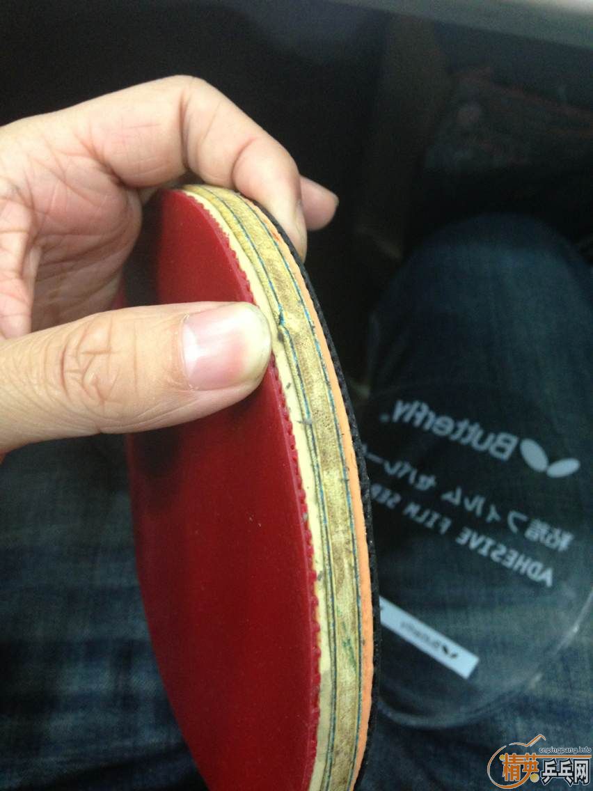 ��һ�������ż̿ƣ��Ƚ��������