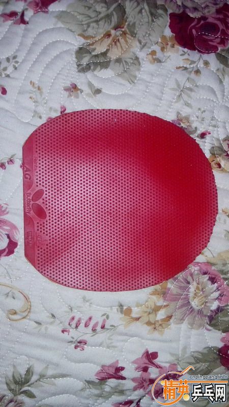 ���������ߴ��ɫ����FEINT AG�����׽�. ��ɫ�ã�֧��������