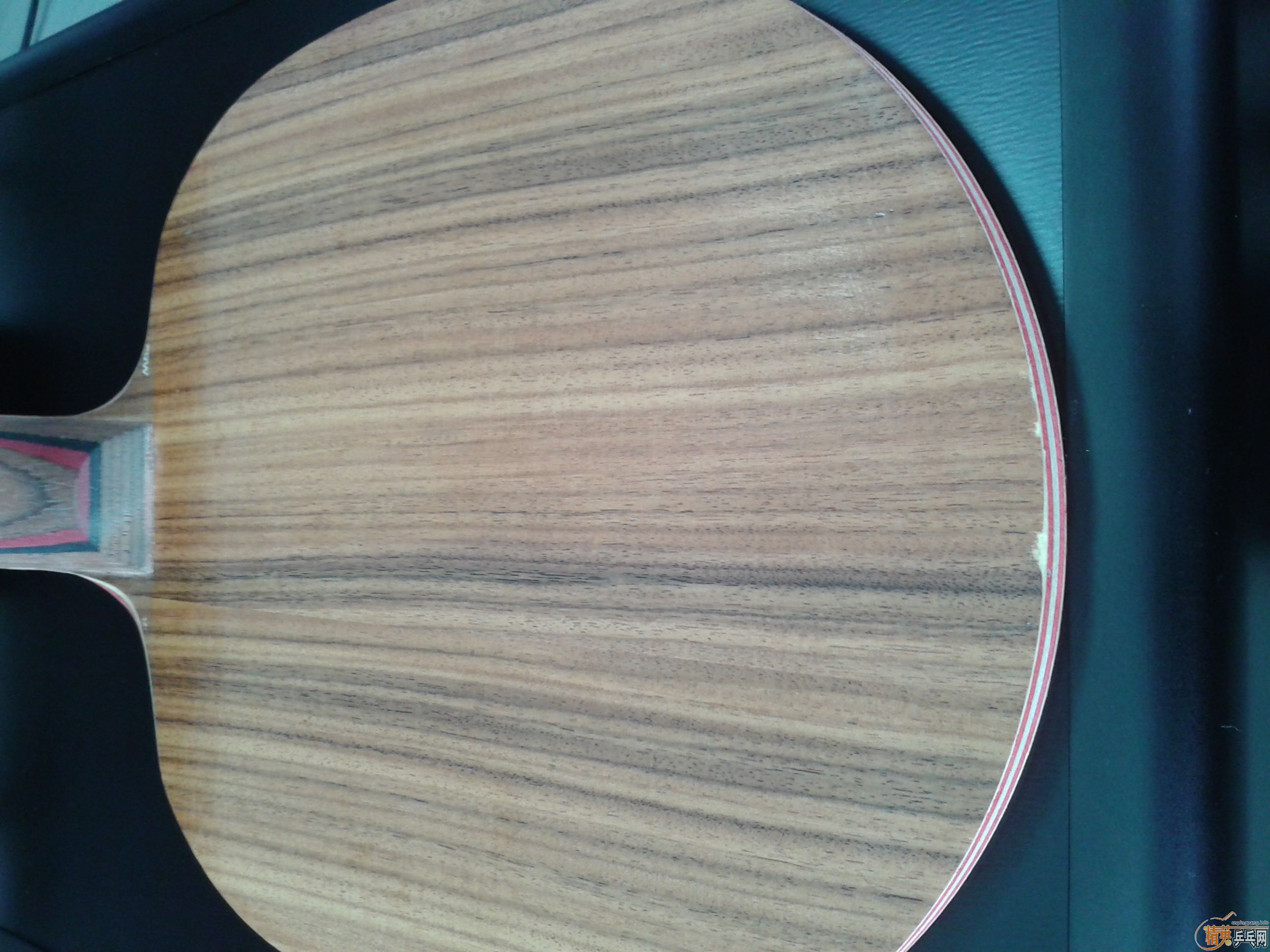 ���ѳ������ų���˹�ۿ�õ��CLֱ�壨�ǳ����ţ�