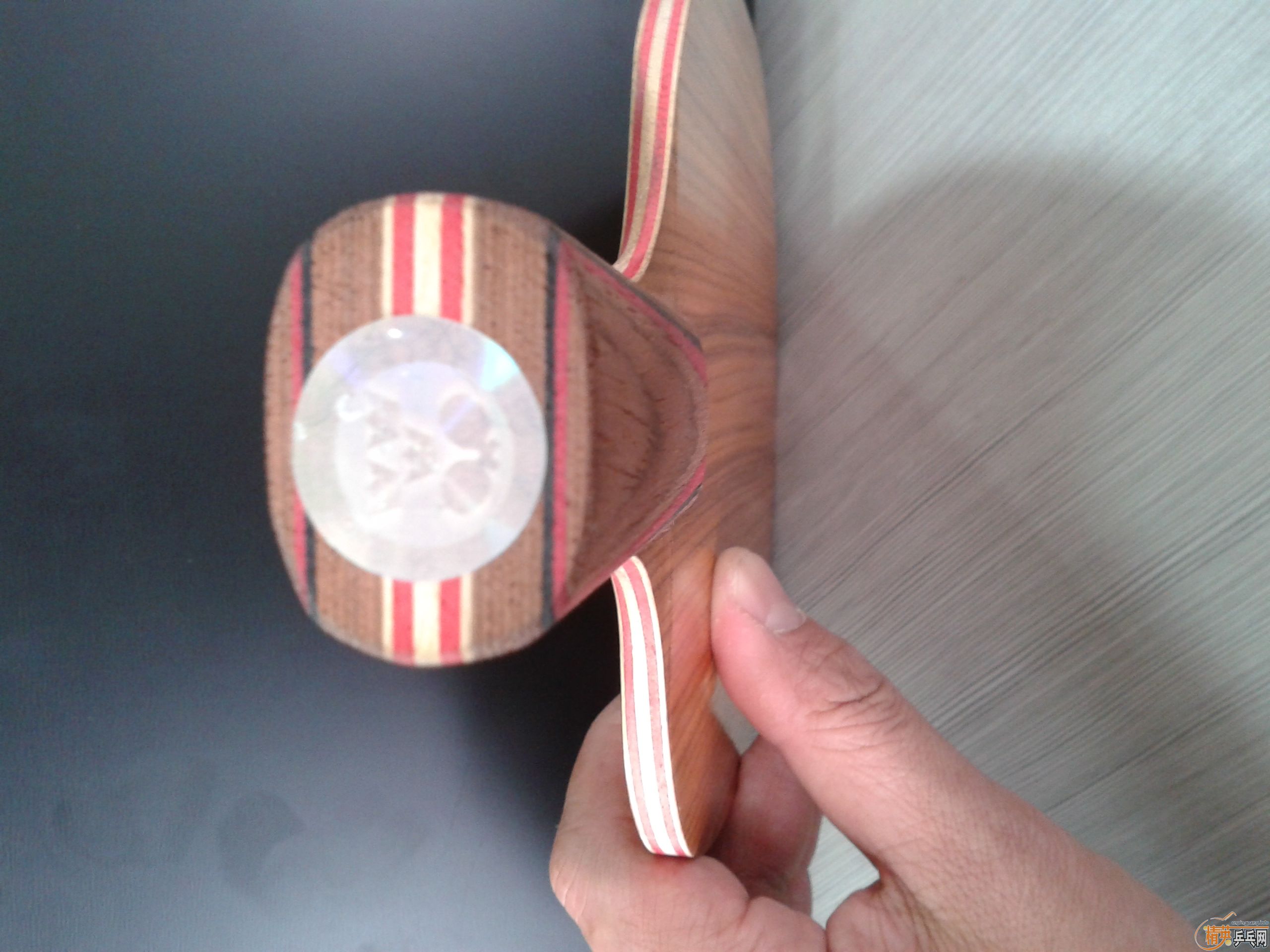 ���ѳ������ų���˹�ۿ�õ��CLֱ�壨�ǳ����ţ�