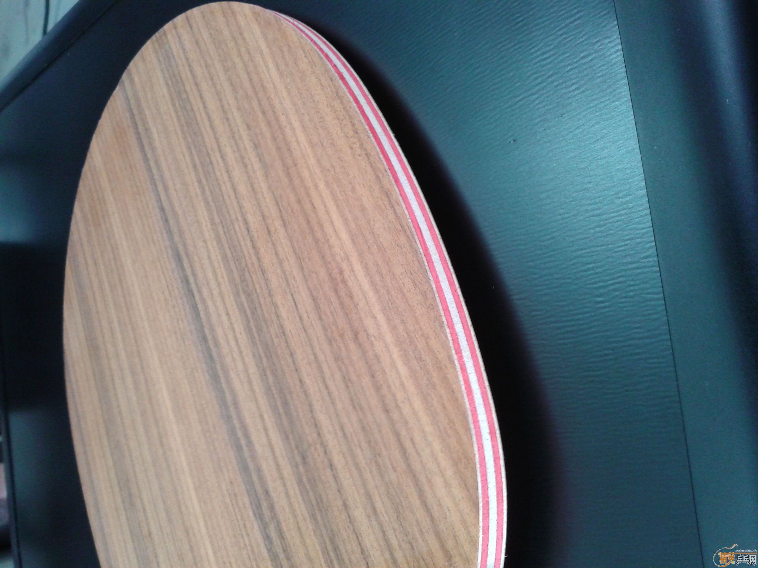 ���ѳ������ų���˹�ۿ�õ��CLֱ�壨�ǳ����ţ�