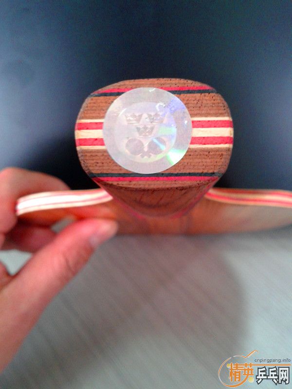 ���ѳ������ų���˹�ۿ�õ��CLֱ�壨�ǳ����ţ�