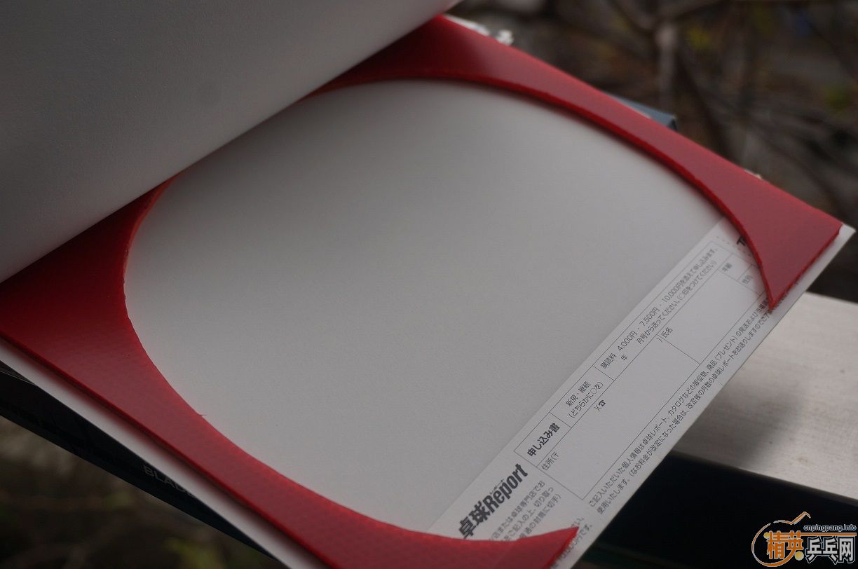 [ԭ��]���ձ�ԭװ��ǰ�汾���հ�STIGA���̼���������80��Ƥ