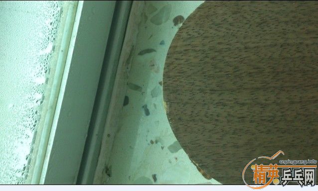 ����ʤ�л���5.4