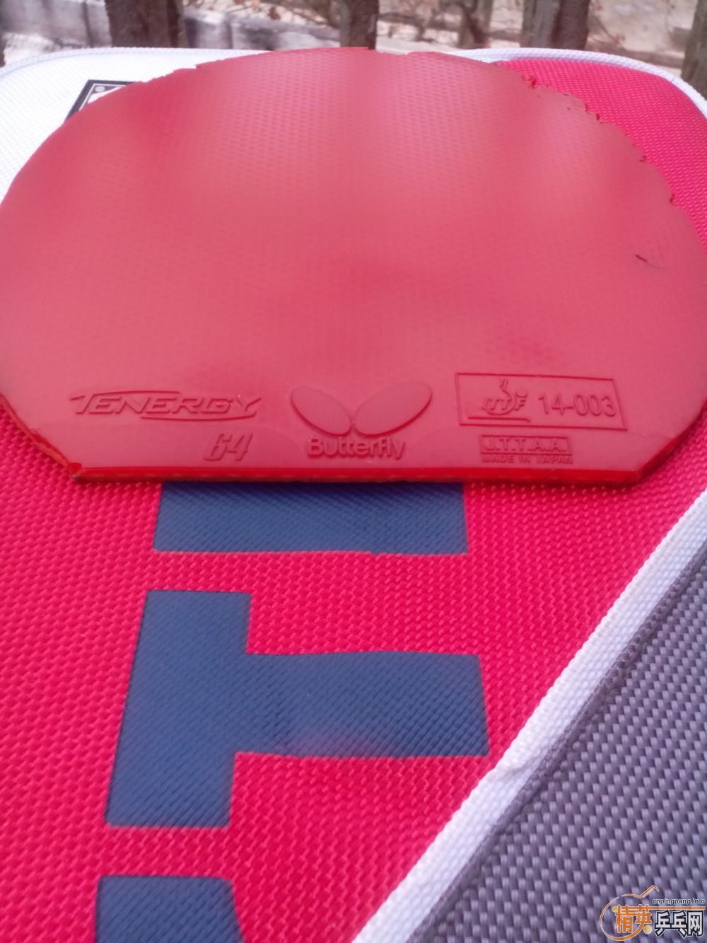 ����һЩ����