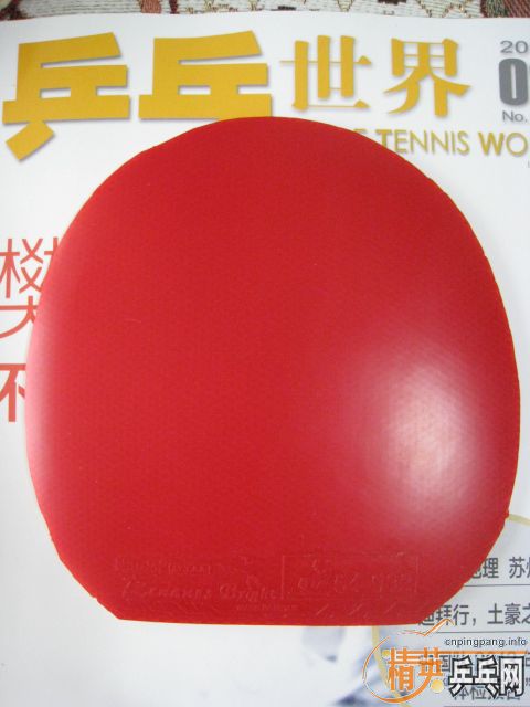 ������ó�ɫ�Ĺ��ҶӶ�Ա�׽���һЩ�����׽�-->baotianyuת��