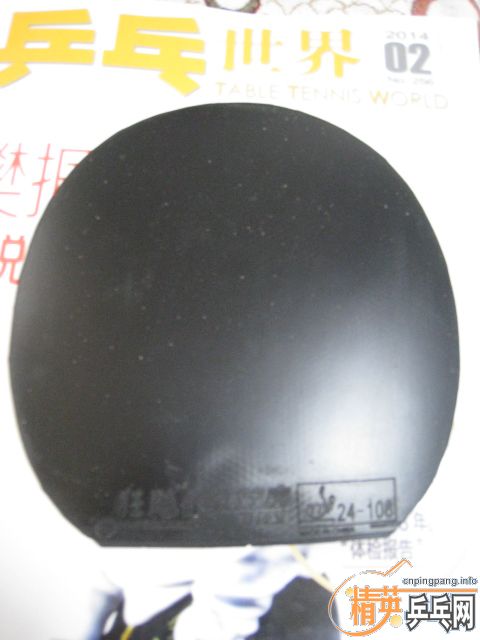 ������ó�ɫ�Ĺ��ҶӶ�Ա�׽���һЩ�����׽�-->baotianyuת��