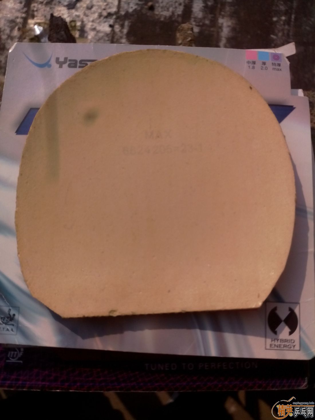 ����һ�ѽ�Ƥ  ������ͼ   ֻ��������������