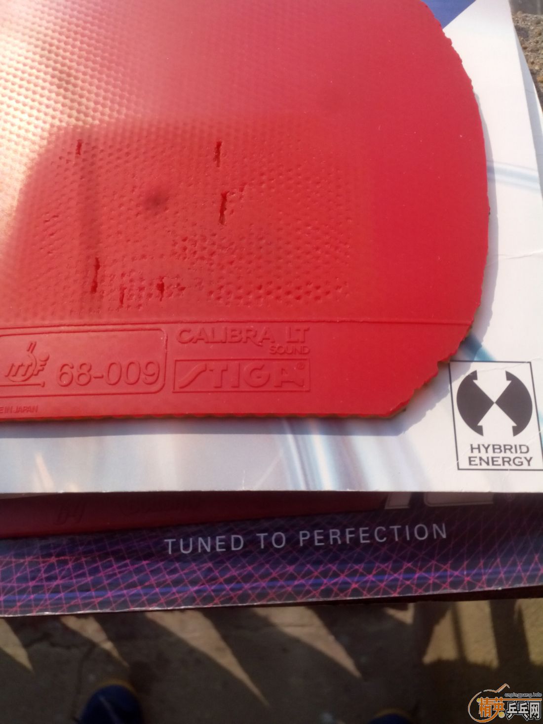 ����һ�ѽ�Ƥ  ������ͼ   ֻ��������������