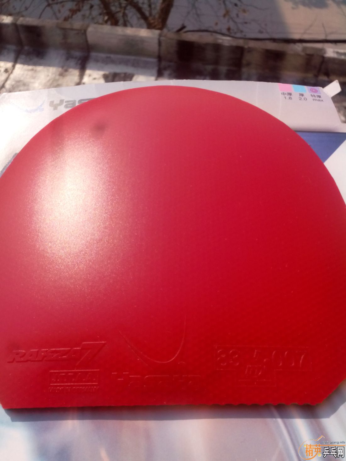 ����һ�ѽ�Ƥ  ������ͼ   ֻ��������������