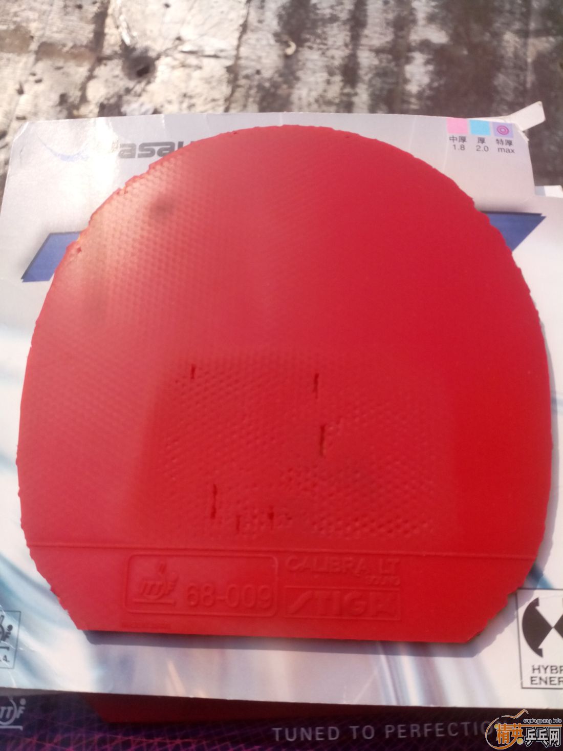 ����һ�ѽ�Ƥ  ������ͼ   ֻ��������������