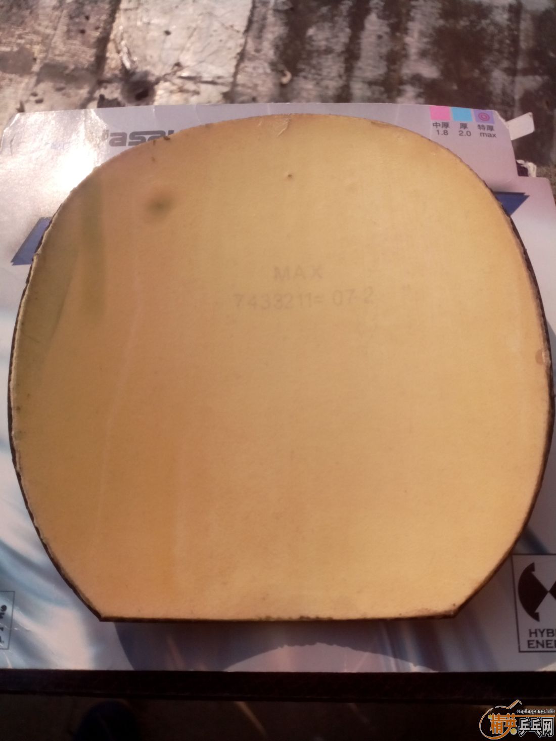 ����һ�ѽ�Ƥ  ������ͼ   ֻ��������������