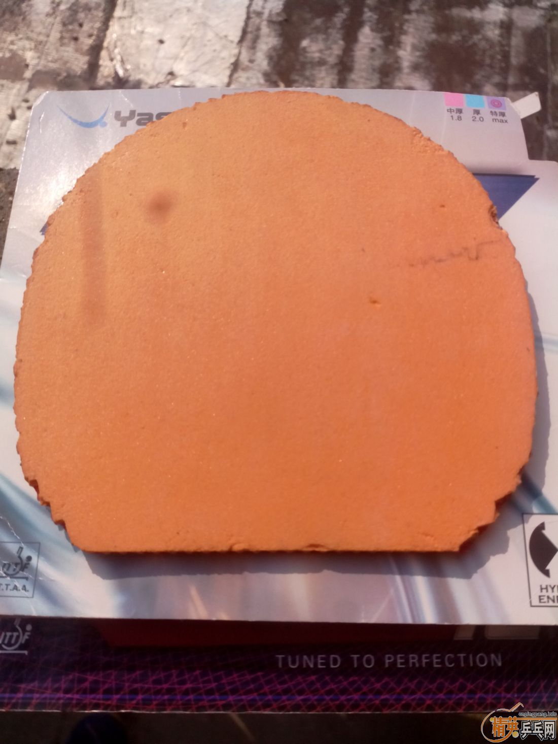 ����һ�ѽ�Ƥ  ������ͼ   ֻ��������������