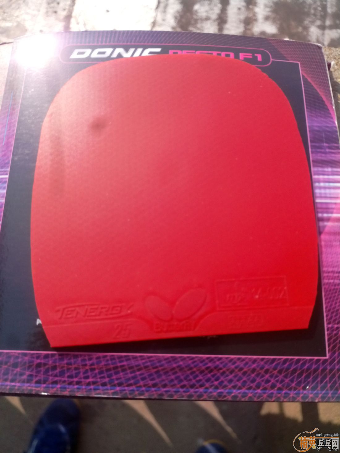 ����һ�ѽ�Ƥ  ������ͼ   ֻ��������������