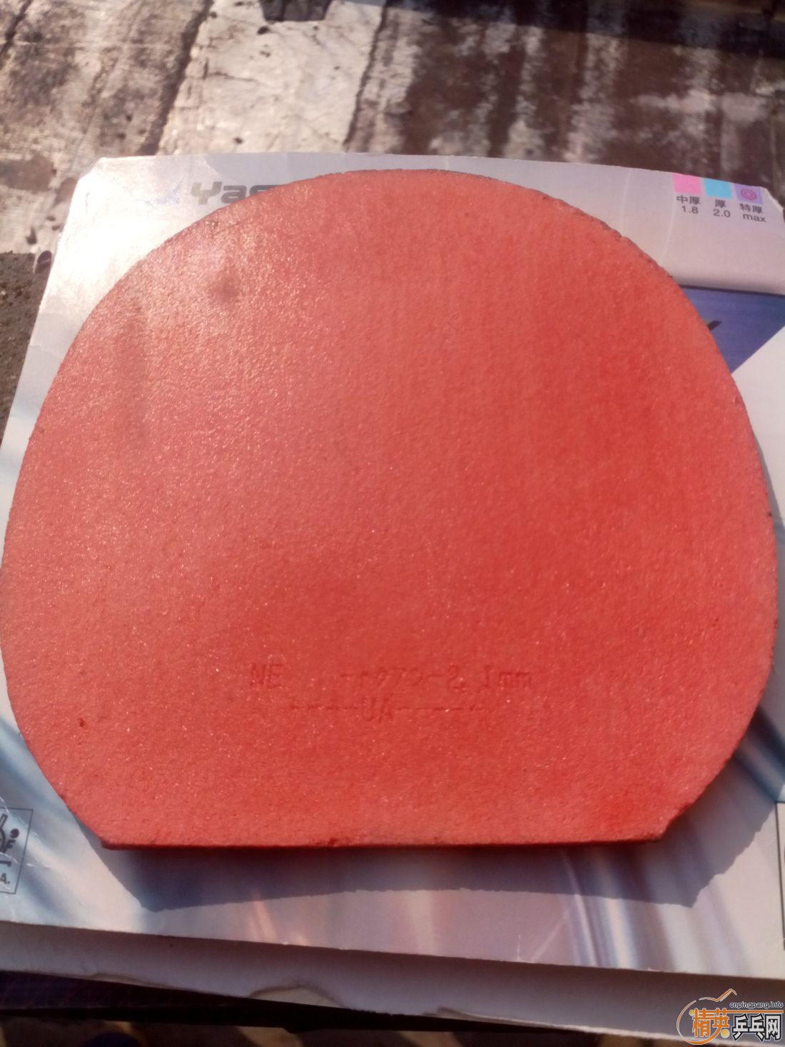 ����һ�ѽ�Ƥ  ������ͼ   ֻ��������������