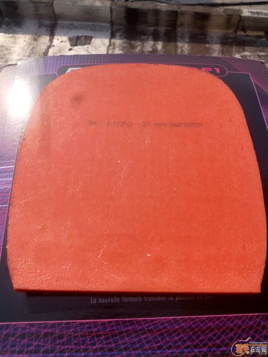 ����һ�ѽ�Ƥ  ������ͼ   ֻ��������������