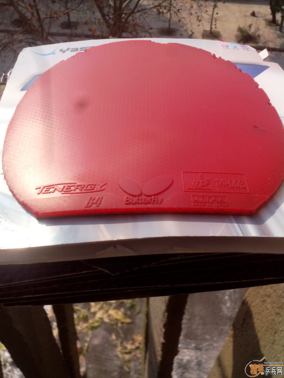 ����һ�ѽ�Ƥ  ������ͼ   ֻ��������������