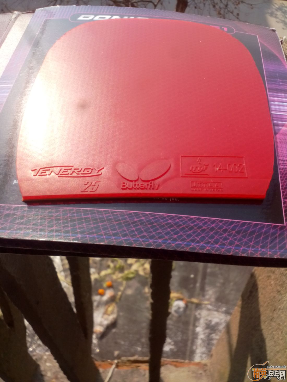 ����һ�ѽ�Ƥ  ������ͼ   ֻ��������������