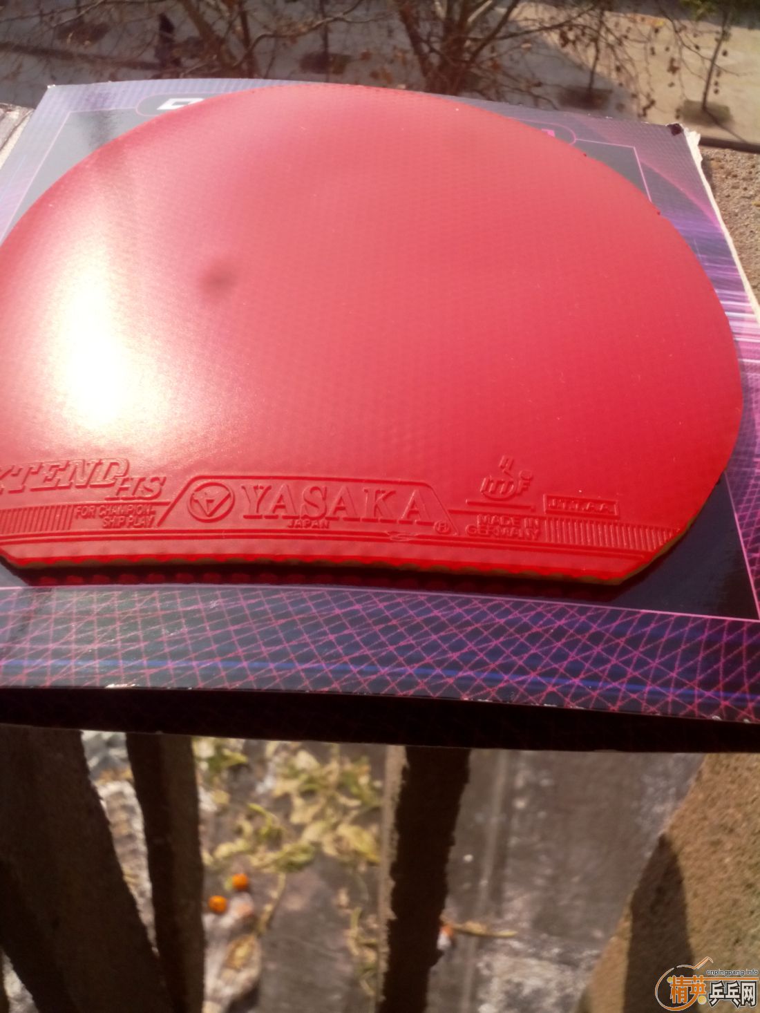 ����һ�ѽ�Ƥ  �����֧�װ�  ������ͼ   ֻ��������������