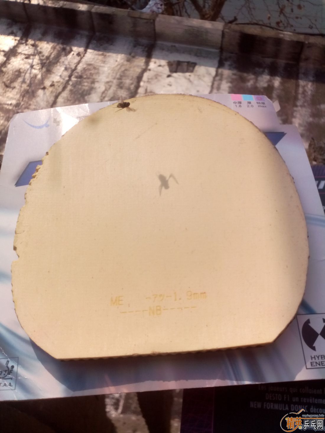 ����һ�ѽ�Ƥ  �����֧�װ�  ������ͼ   ֻ��������������