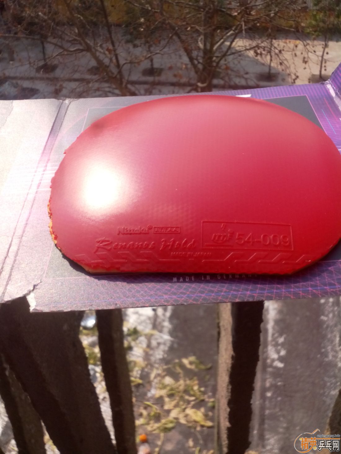 ����һ�ѽ�Ƥ  �����֧�װ�  ������ͼ   ֻ��������������