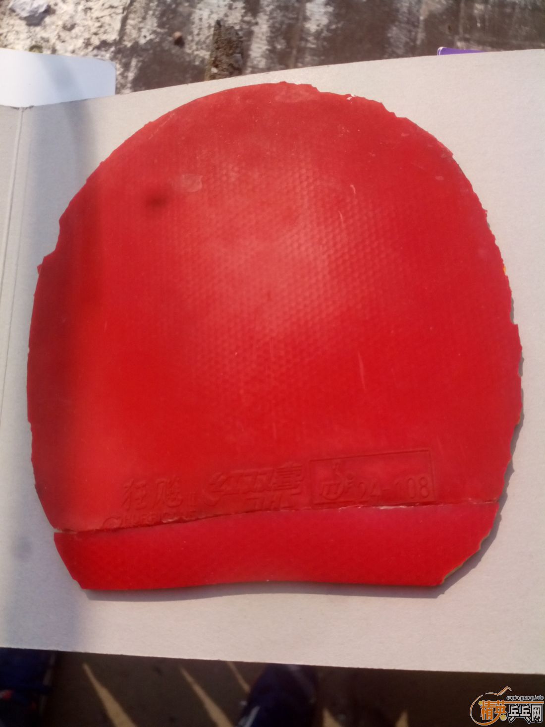 ����һ�ѽ�Ƥ  �����֧�װ�  ������ͼ   ֻ��������������