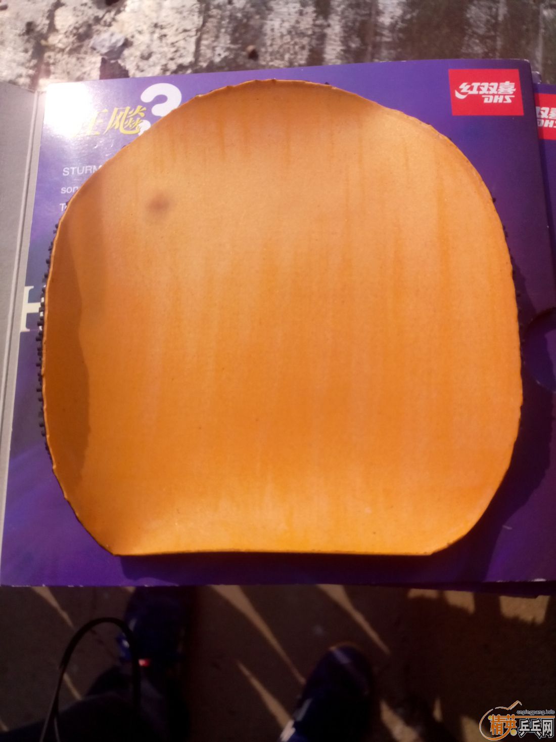 ����һ�ѽ�Ƥ  �����֧�װ�  ������ͼ   ֻ��������������