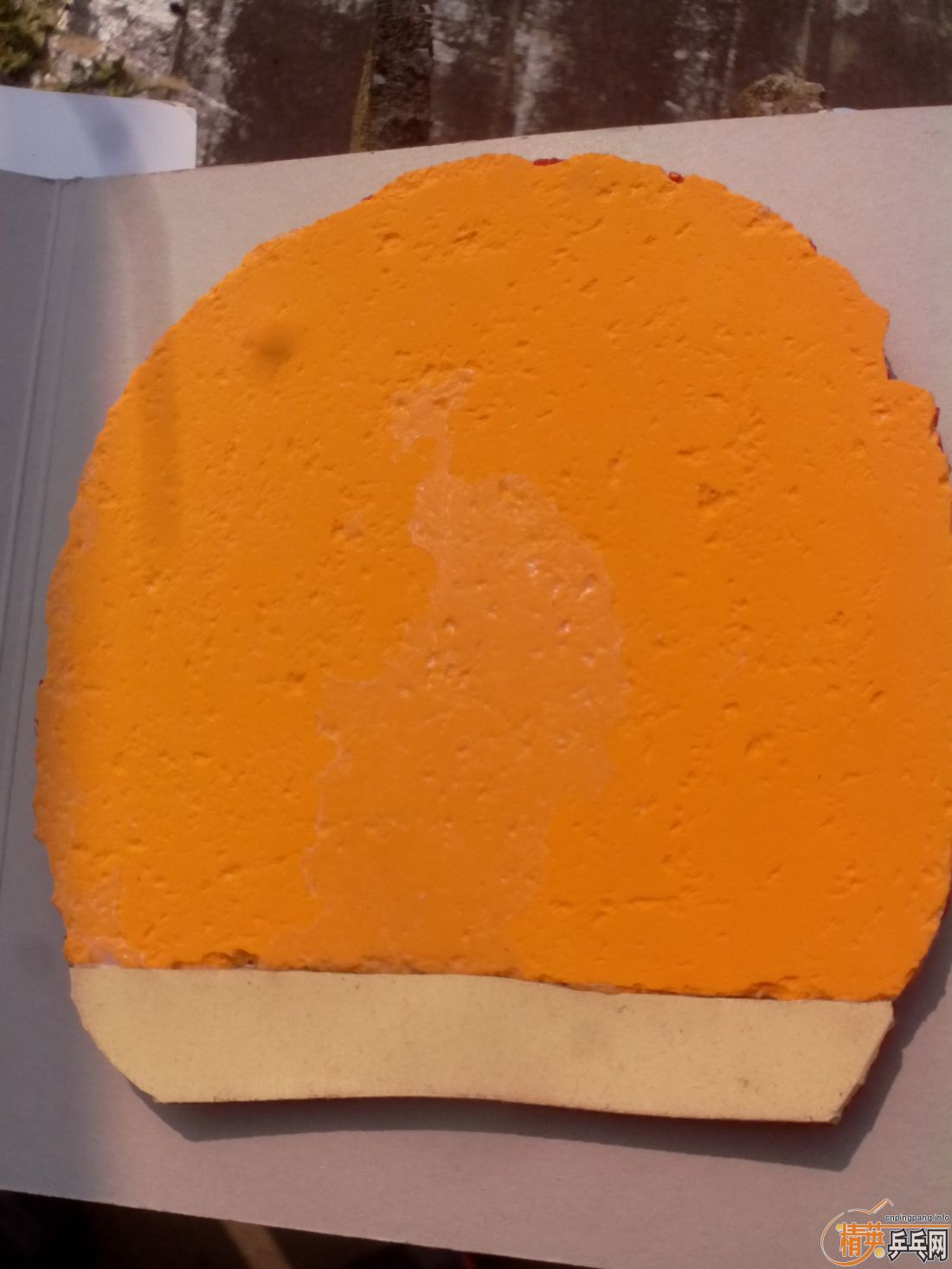 ����һ�ѽ�Ƥ  �����֧�װ�  ������ͼ   ֻ��������������