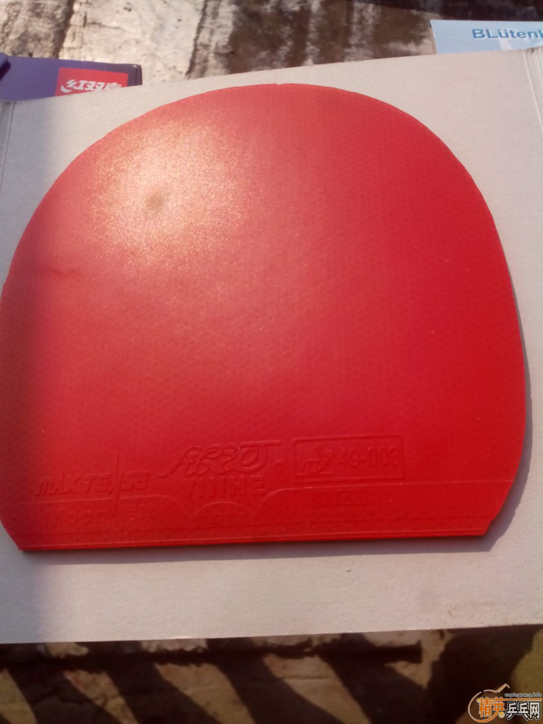 ����һ�ѽ�Ƥ  �����֧�װ�  ������ͼ   ֻ��������������