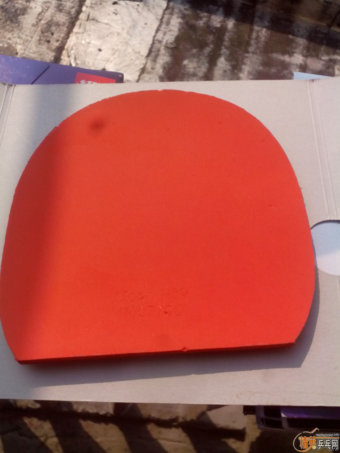 ����һ�ѽ�Ƥ  �����֧�װ�  ������ͼ   ֻ��������������