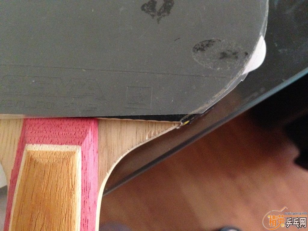 �Գ�9.5���µ�banda virgo��Ů����170����