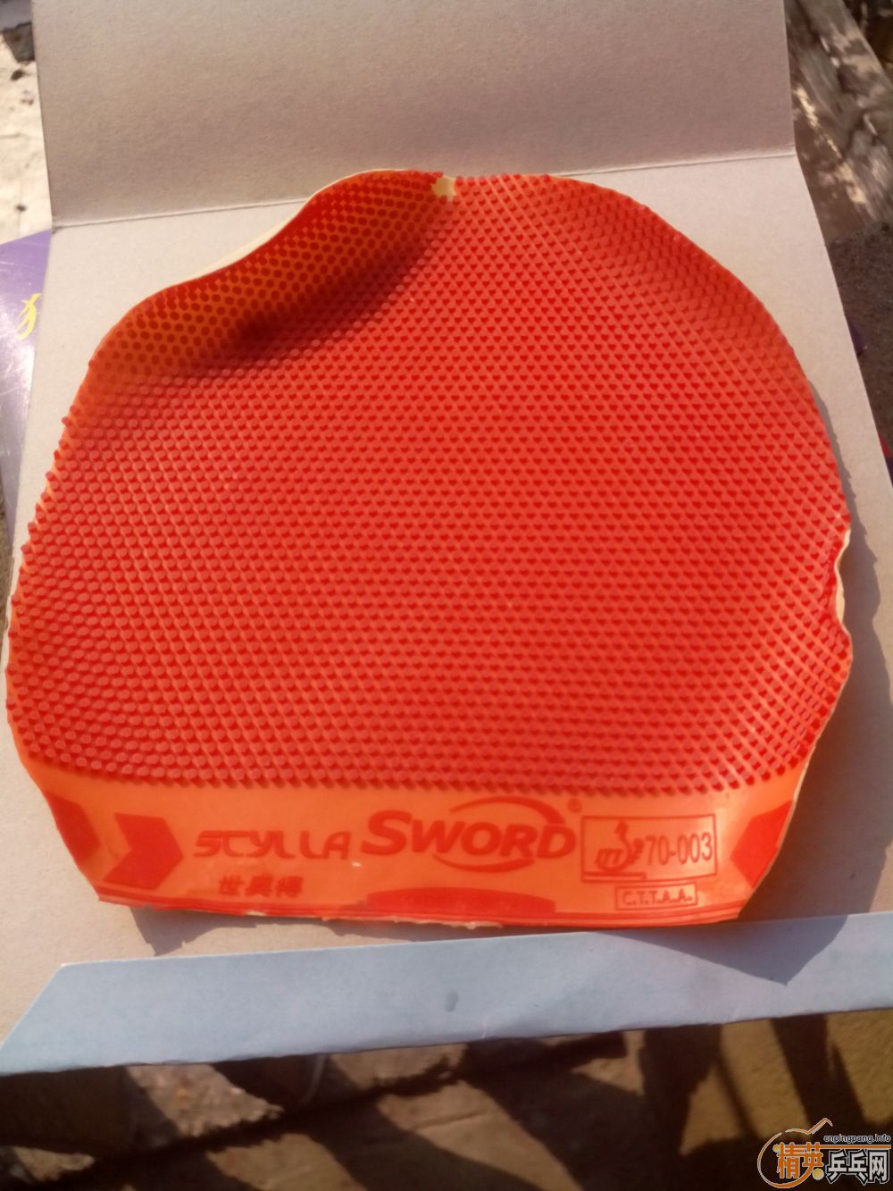 ����һ�ѽ�Ƥ  �����֧�װ�  ������ͼ   ֻ��������������