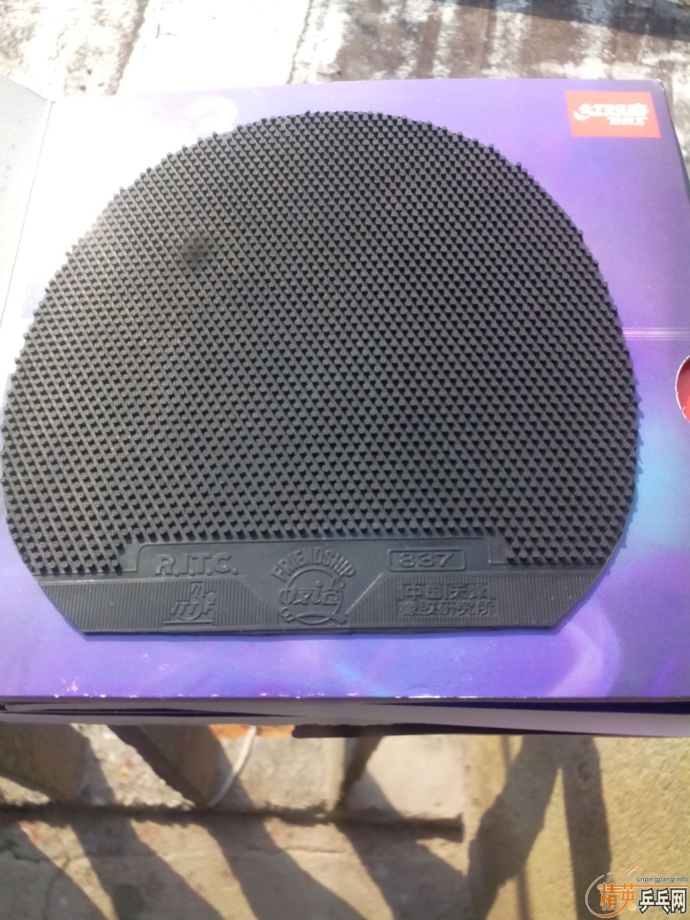 ����һ�ѽ�Ƥ  �����֧�װ�  ������ͼ   ֻ��������������