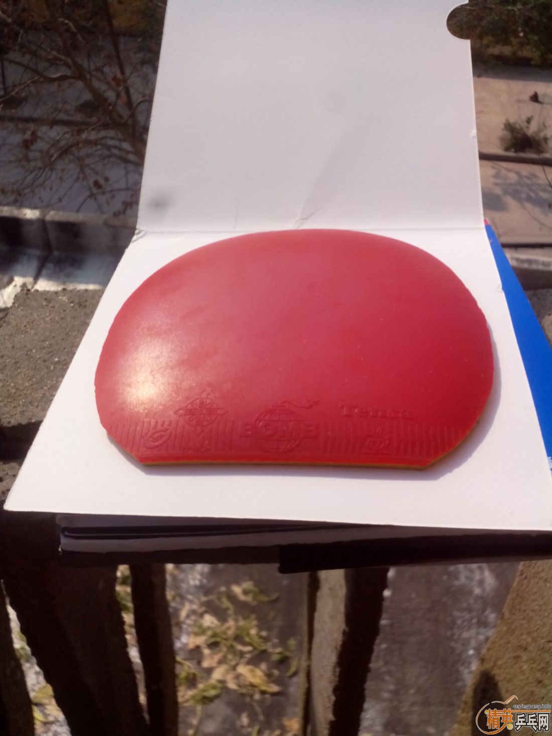 ����һ�ѽ�Ƥ  �����֧�װ�  ������ͼ   ֻ��������������