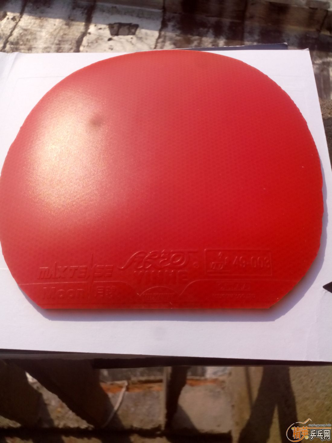 ����һ�ѽ�Ƥ  �����֧�װ�  ������ͼ   ֻ��������������